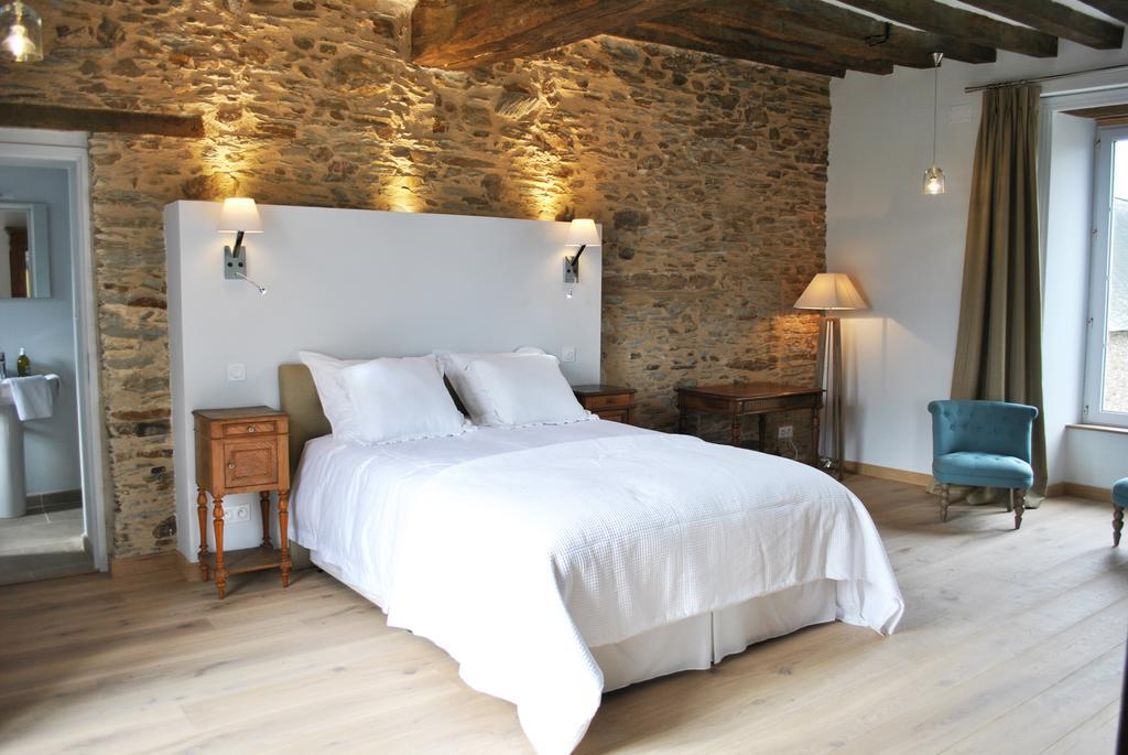 Le Manoir De La Vieille Douve Bed and Breakfast Bourg-d'Ire Camera foto