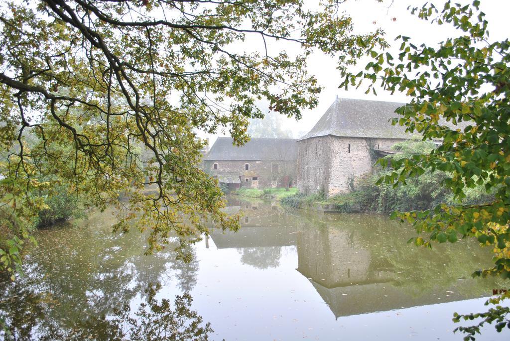 Le Manoir De La Vieille Douve Bed and Breakfast Bourg-d'Ire Esterno foto