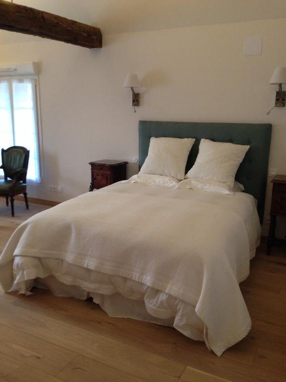 Le Manoir De La Vieille Douve Bed and Breakfast Bourg-d'Ire Camera foto